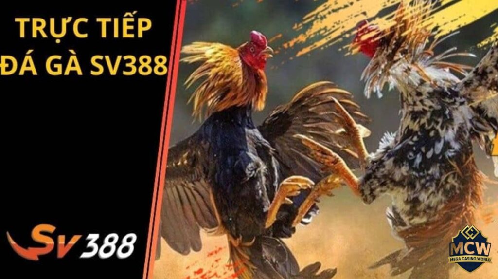 Cảnh báo rủi ro khi tham gia và hướng dẫn phòng tránh