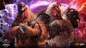 Đá gà SV388 – Sân chơi uy tín cho người đam mê thắng lớn