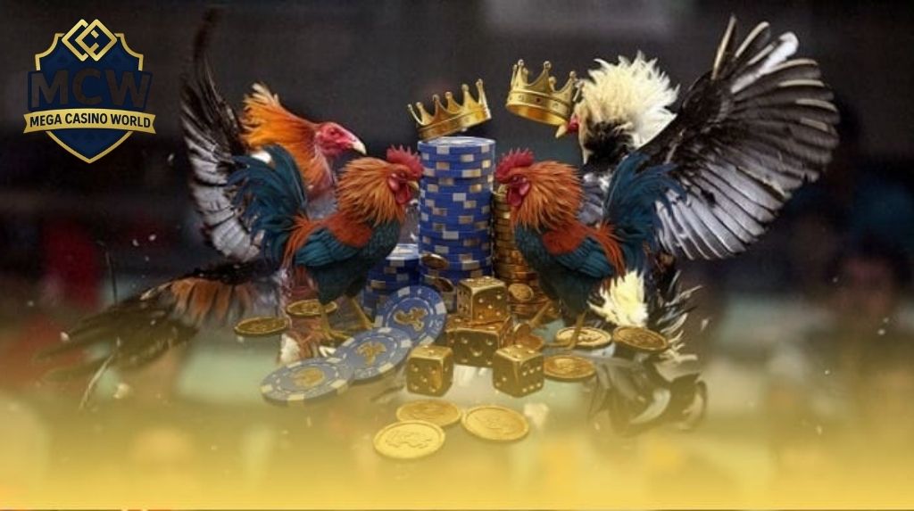 Các loại cược đá gà phổ biến tại Thomo